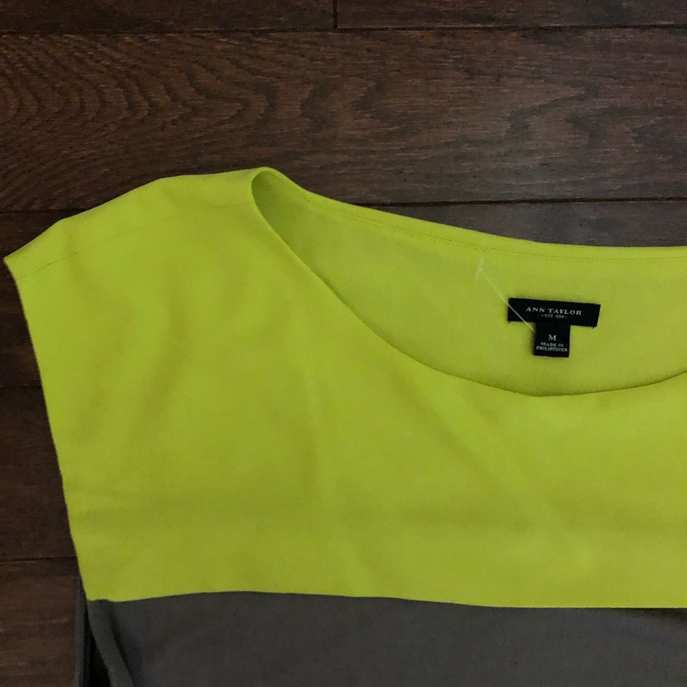 Ann Taylor top